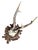Roe deer trophy mounted on a wood plaque wtih acorn and oak leaves