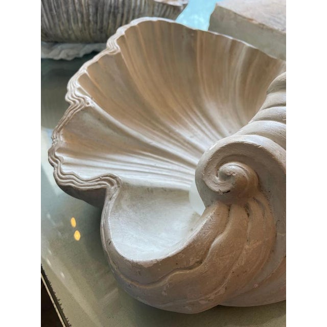 Plaster Shell Wall Lamp, 1950s For Sale - Image 10 of 13
