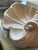 Plaster Shell Wall Lamp, 1950s For Sale - Image 10 of 13