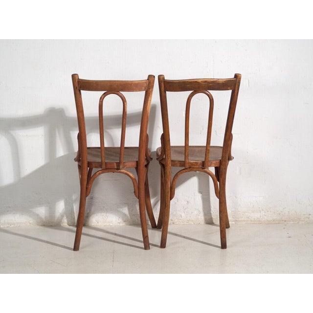 Antique Bentwood Chairs, Central Europe, 1900s, Set of 6 For Sale - Image 13 of 16