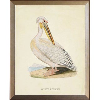 White Pelican in Distressed Metallic Frame 19x23 For Sale