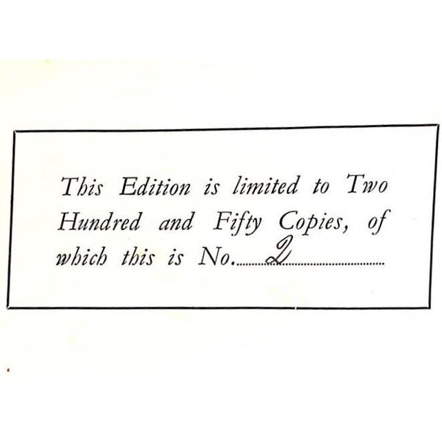 "International Sport Polo" 1931 Stock, Alphons For Sale In New York - Image 6 of 12