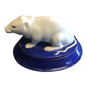 Antique 19th Century Paris Porcelain Figure of a Rodent or Rat
