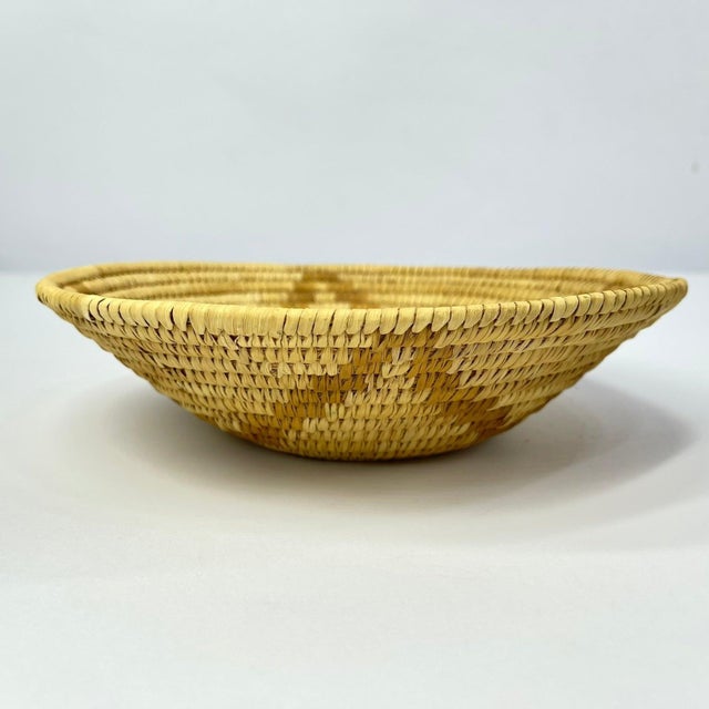 Early 20th Century Botswana Basket 9inch MATTER COLLECTION For Sale In Denver - Image 6 of 9