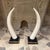 Maitland - Smith Hollywood Regency Faux Tusk Sculpture Marquis Collection of Beverly Hills For Sale - Image 4 of 16