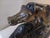Mid 19th Century Mid 19th Century Bronze Pj Mene Arab Mare With Saddle and Rifle Sculpture For Sale - Image 5 of 16