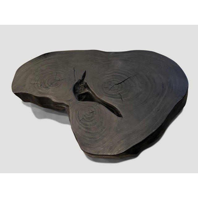 Andrianna Shamaris Impressive Single Slab Suar Wood Charred Coffee Table For Sale - Image 18 of 18