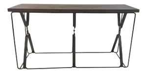 Organic Modern Wood and Metal Gabby Camden Console Table
