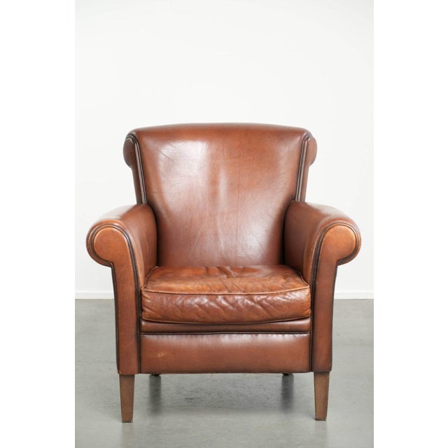This comfortable sheepskin armchair, with its beautiful colors and sleek finish, features a warm cognac hue and a lovely...