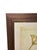 Oversized Natural Curiosities Harvey Seaweeds Botanical Print – Framed For Sale - Image 4 of 7