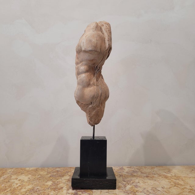 Sculpture Materials Classical Plaster Torso, 1960s, Plaster For Sale - Image 7 of 11