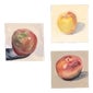 Shop ROBINS EGG GALLERY