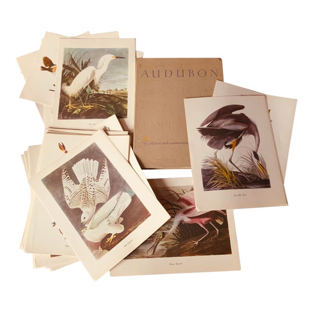 1950s Audubon Birds of America — Complete Portfolio of 50 Color Prints With Roger Tory Peterson Commentaries, Macmillan For Sale