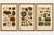 Set of three antique mineralogy chromolithographs, quartz, agate & tourmaline, 1888 description: a decorative set of three...