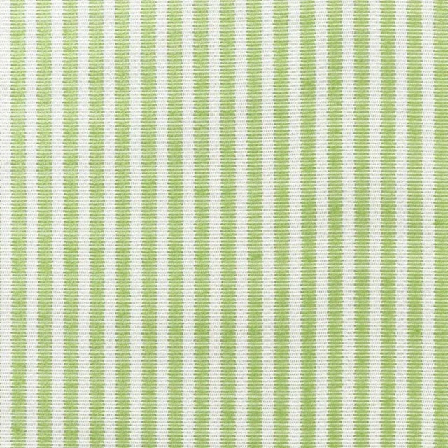 Schumacher Easton Stripe Indoor & Outdoor Fabric in Leaf For Sale