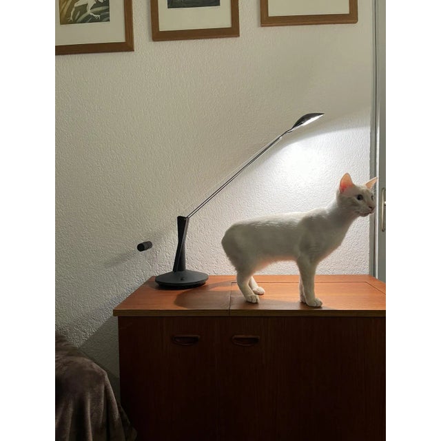 Desk Lamp Lisa Model by Gianni Cardile for Valenti Luce, 1980s For Sale - Image 6 of 10