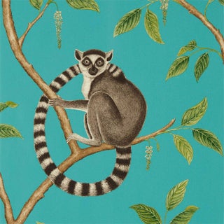 Sanderson Ringtailed Lemur Wallpaper in Teal For Sale