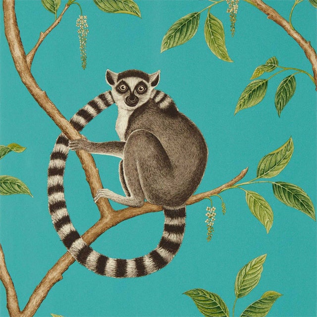 Sanderson Ringtailed Lemur Wallpaper in Teal For Sale