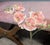 Vintage Dorothy Draper Espana Pink Velvet Bench With Curule Legs For Sale - Image 15 of 15