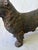 Antique Hubley Cast Iron Scottie Terrier Door Stop For Sale - Image 4 of 15
