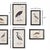 This set of various size prints of unique aquatic birds is an eclectic mix. These welldetailed illustrations highlight the...