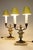 1920s Matched Pair Neoclassic French Empire Regency Tole Bronze Marble Candelabra Table Lamps For Sale - Image 4 of 12
