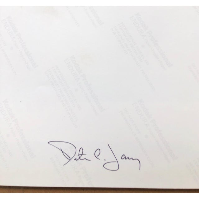 Peter C. Jones 1, Rising, Large Format Photo 24X20 Color Photograph Beach House, 2005 For Sale - Image 4 of 4