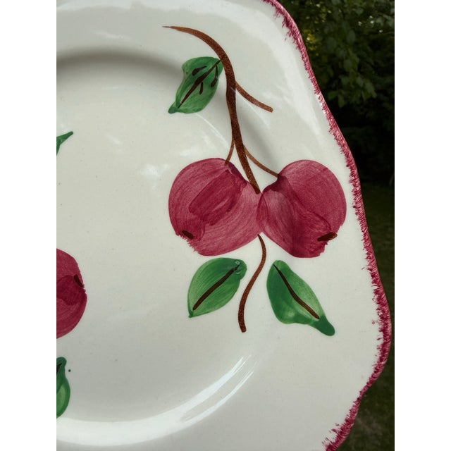 Vintage Blue Ridge Southern Potteries Hand-Painted "Crab Apple" Square Salad Plate For Sale - Image 6 of 8