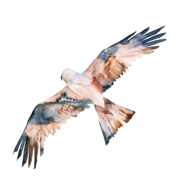 "Hawk" Contemporary Original Watercolor Painting by Elizabeth Becker For Sale