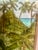 Glass 1990s Tiny Caribbean Church Watercolor by I. Kentho, Tobago, 9” X 7” Framed For Sale - Image 7 of 11