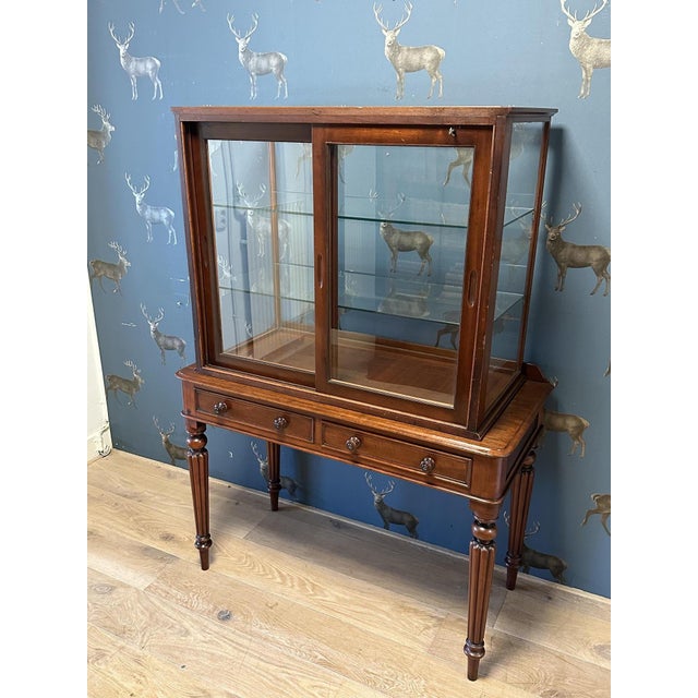Vintage Display Cabiniet, 1890s For Sale - Image 9 of 9