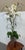 Early 21st Century Silk Flower Arrangement of Orchids in Vase For Sale - Image 5 of 12