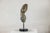 Late 20th Century Small Male Torso Bronze Sculpture on Circular Marble Base For Sale In New York - Image 6 of 15