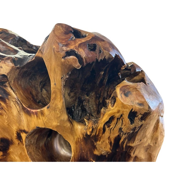 Abstract Amorphic Handcrafted Root Wood Wine Rack For Sale - Image 3 of 9
