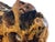 Abstract Amorphic Handcrafted Root Wood Wine Rack For Sale - Image 3 of 9