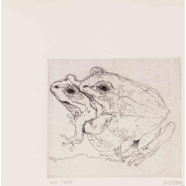 Sergio Barletta, Frogs, Etching, 1970s For Sale