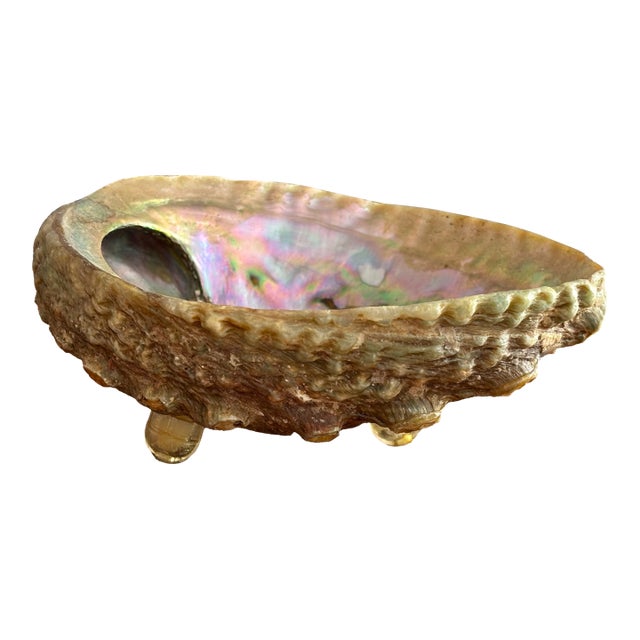 1980s Natural Abalone Shell Bowl on Acrylic Feet For Sale