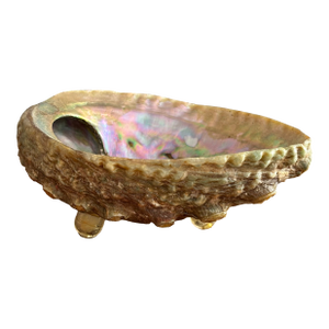 1980s Natural Abalone Shell Bowl on Acrylic Feet