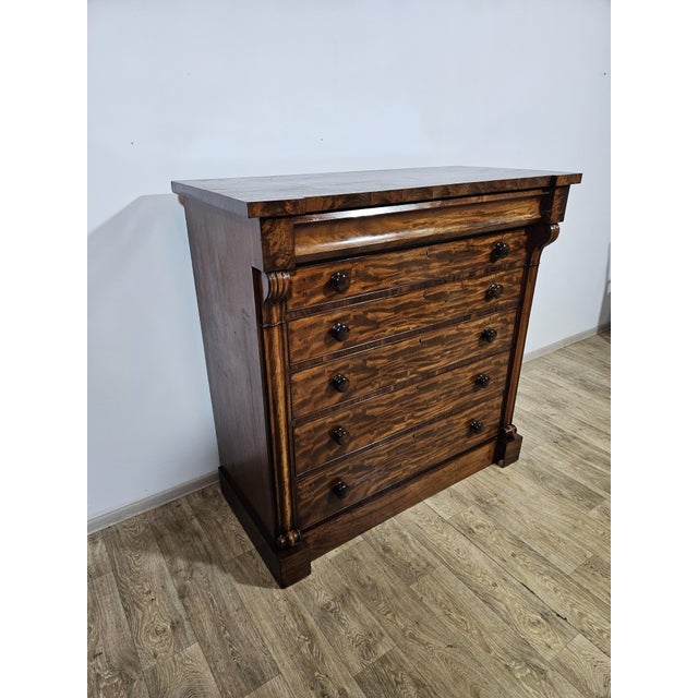 Wood Biedermeier Chiffonier Chest of Drawers in Mahogany, 1800s For Sale - Image 7 of 18
