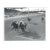 1970 Miami Horse Racing Photograph For Sale