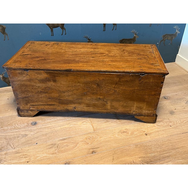 Tan 18th Century Elm Trunk For Sale - Image 8 of 9