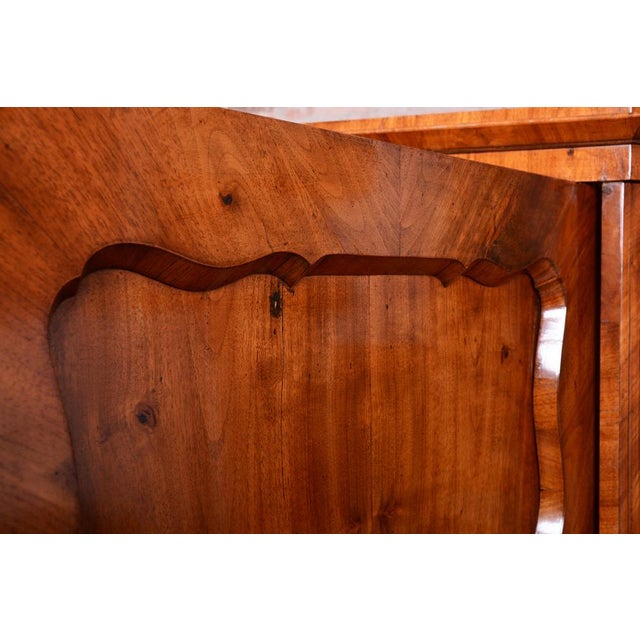 Biedermeier Cabinet in Walnut, Austria, 1830s For Sale - Image 13 of 18