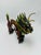 This is a decorative cloisonné dragon figurine, a traditional Asian-inspired piece known for its vivid color and intricate...