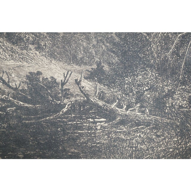 Antique English Grove of Trees Gnarled Pines Church Village Etching 17" For Sale - Image 11 of 11
