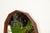 Mid-Century Italian Dodecagonal Teak Mirror attributed to Dino Cavalli, Italy, 1960s For Sale - Image 9 of 12