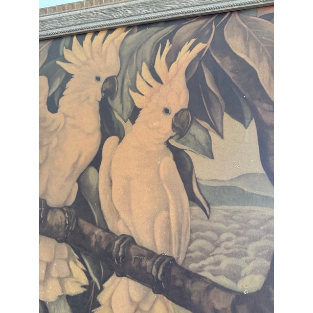 A striking vintage tropical bird print titled “Aristocrats” by J. Harry Eyters, depicting two white cockatoos perched on a...