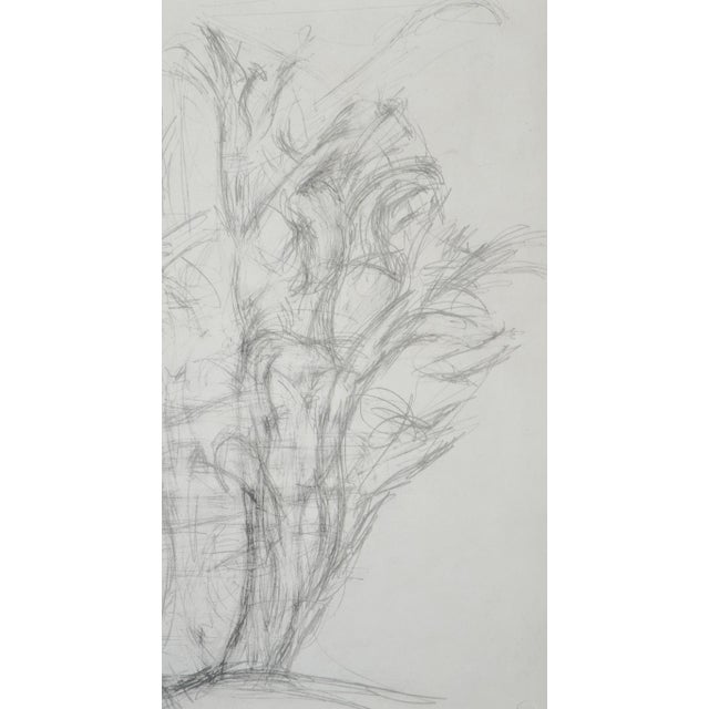 Alberto Giacometti, Alberi, 1963, Original Lithograph For Sale - Image 4 of 9