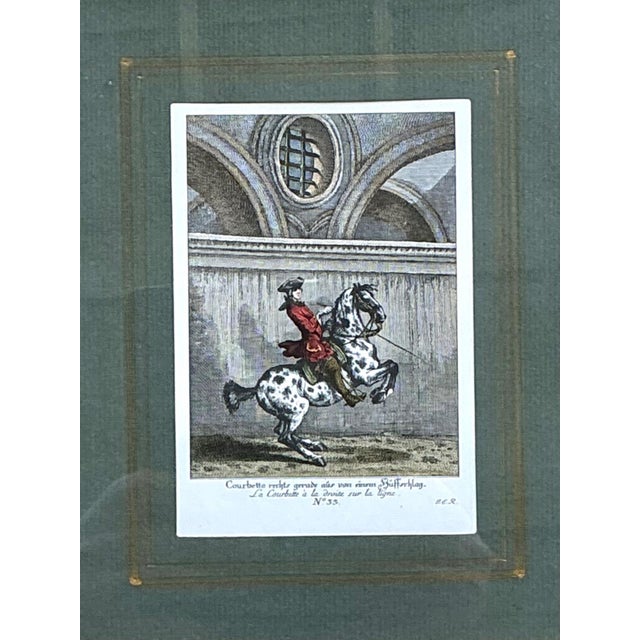Green Vintage Equestrian Engravings in Gilt Frames - Set of 6 For Sale - Image 8 of 13