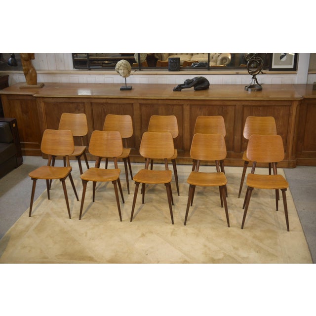 Wood Vintage Brown Oak Chairs, 1960s, Set of 10 For Sale - Image 7 of 11