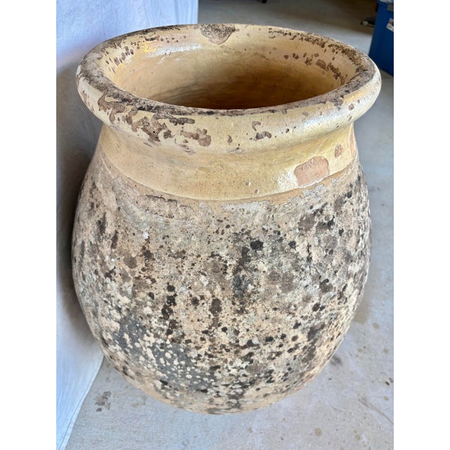 Late 19th Century 19th Century French Biot Pot Olive Jar For Sale - Image 5 of 12